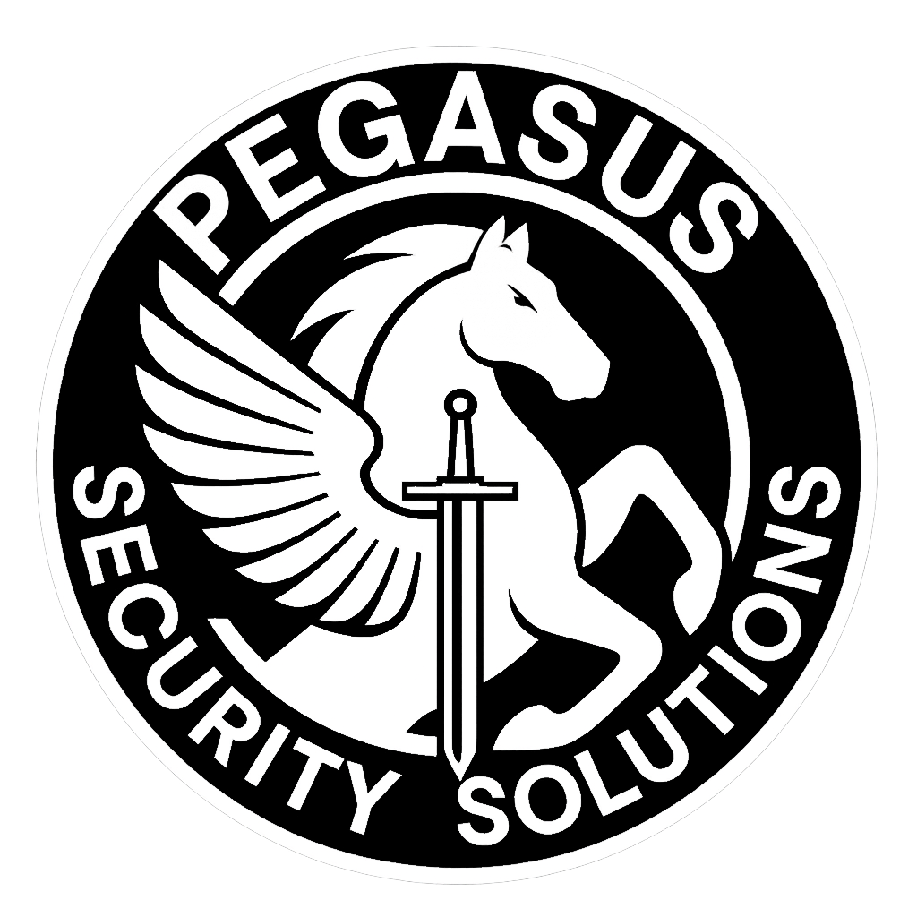 Pegasus Security Solutions